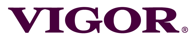 VIgor - Restaurant branding and marketing agency